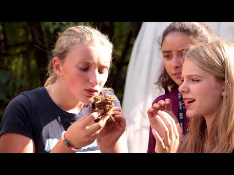 Lakefield College School