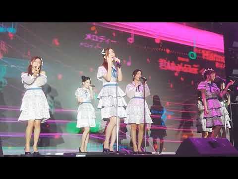 Kimiwa Melody 🎼🎵🎶BNK48 Pun focus