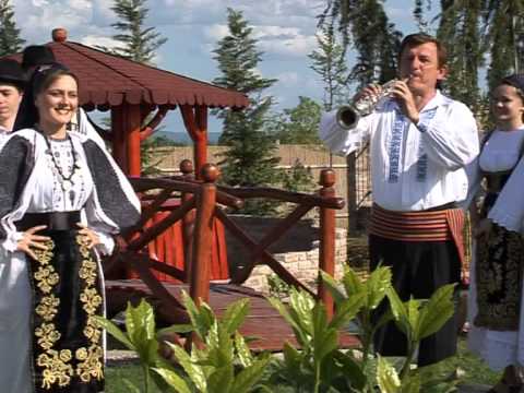 PAULA PASCA SI ILIE PASCA   JOS IN VALE LANGA DRUM