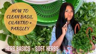 Washing and Drying Fresh Herbs - Video 2