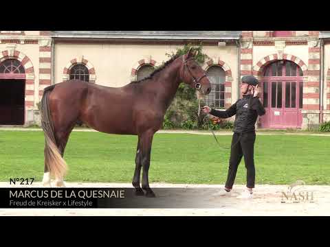 MARCUS DE LA QUESNAIE