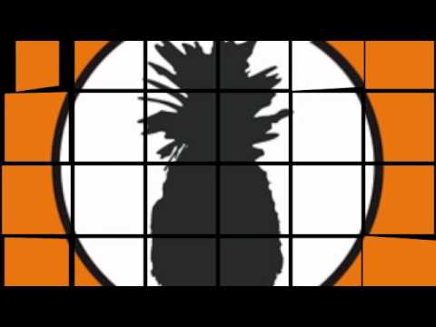 Gui Sheffer   "Time Of Life" - Preview - Ananas Recordings 2011