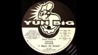 David Anthony Featuring Protege -- I Want To Know (Wawa Mix)