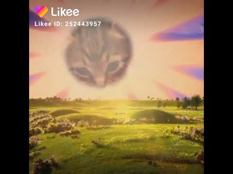 I do not like Teletubbies at all is stupid