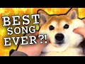 The SHIBA INU Song Music Video Bork S Version