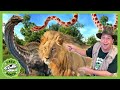 Dinosaur Adventure With Zoo Animals! T-Rex Ranch Adventures for Kids