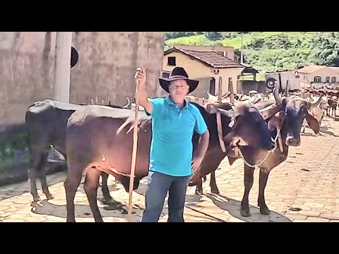 SEU VALDECIR DIAS, UM DOS PIONEIROS DO DESFILE DE POÇO FUNDO-MG