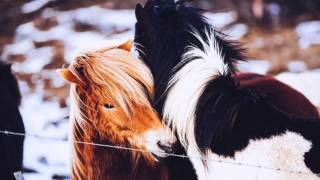 All the Pretty Little Horses - Instrumental - The Music of David Phillips