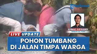 Hujan Lebat dan Angin Kencang Picu Pohon Tumbang di Patih Rumbih Palangka Raya, Satu Warga Terluka