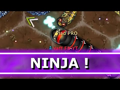 1 NINJA Snake vs 321,654 MONSTER Little Big Snakes !