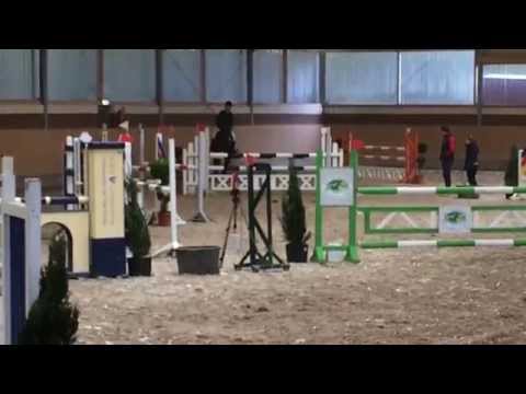 SA Stables " Bakar " 4j Stallion Nettetal