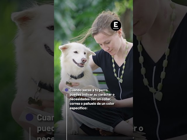 Cenwa Collar De Punto Y Coma Y Así Continúa En Punto Y Coma | Cuotas Sin Interés