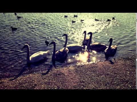 Marek Chyba - Marek CHyba- (no name- prva cover)