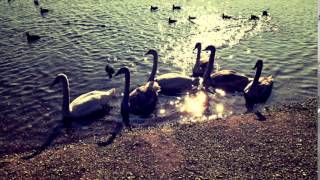 Video Marek CHyba- (no name- prva cover)