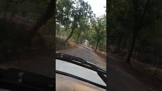 preview picture of video 'Roadside View Of Bandhavgarh (M.P.)'
