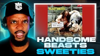 🎵 The Handsome Beasts - Sweeties REACTION