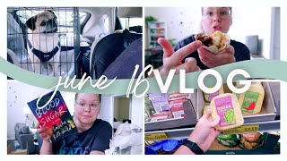JUNE 16 VLOG | graham opens a bark box, taco bell taste test, opening packages + a library haul