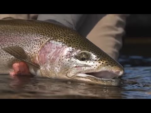 Pesca con Mosca Lago Dos Río Pico Chubut Patagonia Argentina junto al Encuentro Aguas Arriba ESPN 