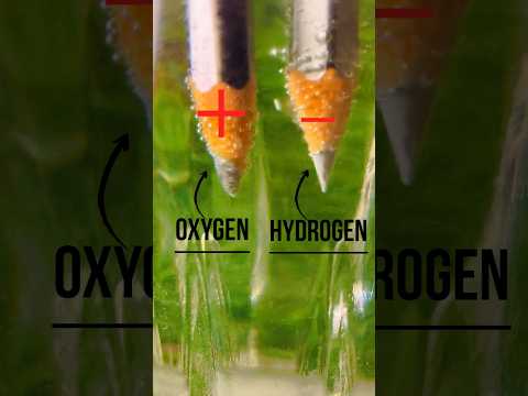Electrolysis Of Water How To Produce Hydrogen From Water Water Electrolysis Electrolysis  #shorts