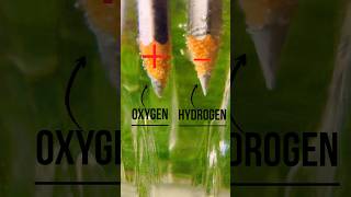 Electrolysis Of Water How To Produce Hydrogen From Water Water Electrolysis Electrolysis  #shorts