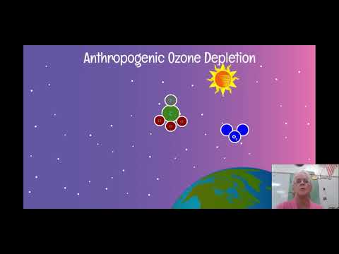 9.1 & 9.2 - Stratospheric  Ozone