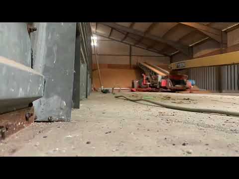 Filling grain store with harvest22 wheat.