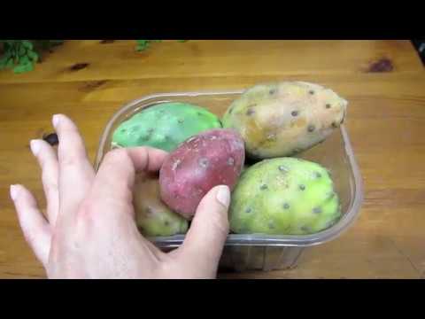 download lagu mp3 mp4 Prickly Pear Seeds, download lagu Prickly Pear Seeds gratis, unduh video klip Prickly Pear Seeds