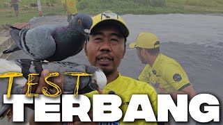 Download lagu WHAT YOU'VE BEEN WAITING FOR ‼️IT'S TIME TO TEST FLIGHT PIGEONS FROM BANG LAPE'S CHOICE KIOS mp3 Download lagu WHAT YOU'VE BEEN WAITING FOR ‼️IT'S TIME TO TEST FLIGHT PIGEONS FROM BANG LAPE'S CHOICE KIOS mp3