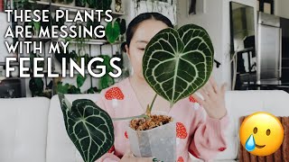 the emotional rollercoaster we like to call 😊 "plant parenthood" 😭