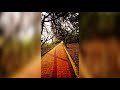 JP Strydom - Pumpkin Seeds (Devendra Banhart cover)