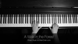 Video thumbnail of "Brian Crain - A Walk in the Forest (Overhead Camera)"