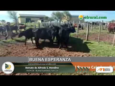 10-04-26 - Remate de Alfredo S. Mondino - Buena Esperanza, San Luis