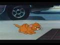 Oliver Company Why Should I Worry Hungarian