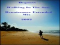 Degauss - Walking In The Sun (Renaissance ...
