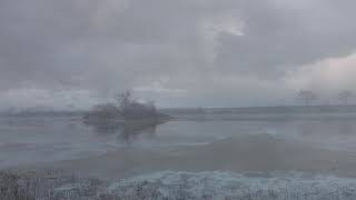 Van Morrison Reminds Me of You