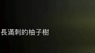 探索避暑秘境：走讀雞南山 蝴蝶園步道 預告片縮圖