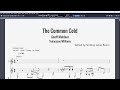 Geoff Muldar  -  The Common Cold