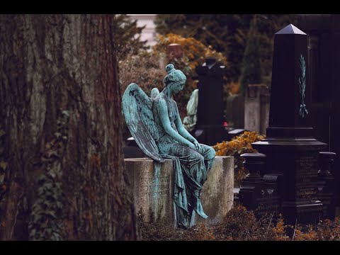 Reasons to Hope: Hope and Grief