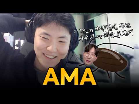 아이콘