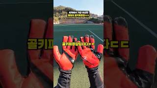 세계에서 가장 이상한 골키퍼장갑ㅋㅋ