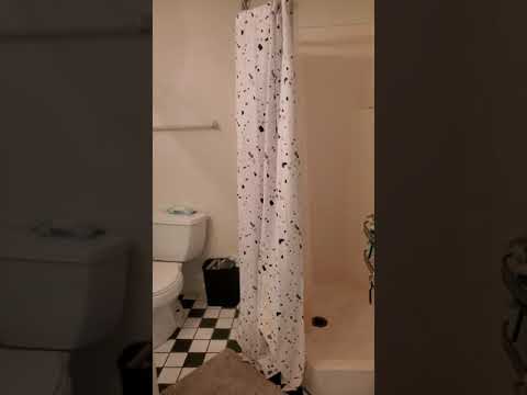 3415 Abbott St - Video 2 of 2