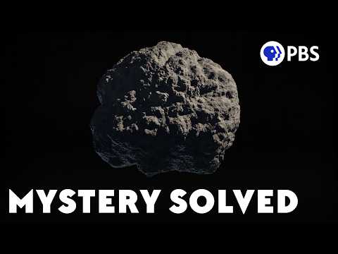 How We Figured Out an Asteroid Killed the Dinosaurs