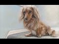 Speed Painting a Dachshund dog in Pastels on ...