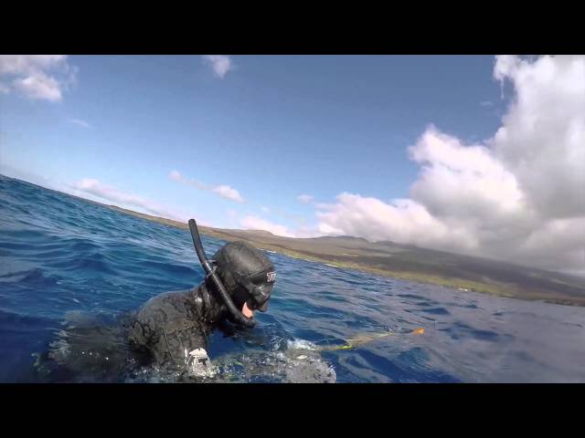 HiVis Ulua: Uku Reef Diving