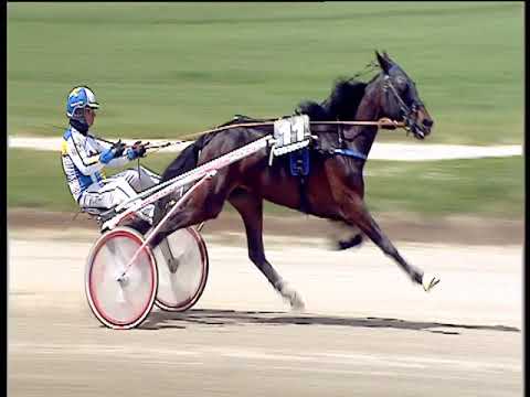 Trotto 12/05/2019 - 1ª corsa