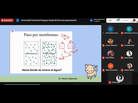 biofisica - repaso para prova final (03.07.2020)