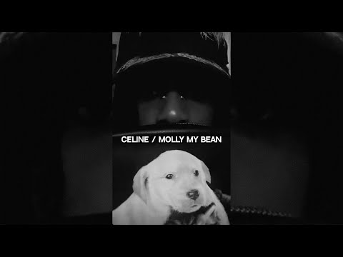 Playboi Carti - Celine/Molly My Bean [guitar cover]