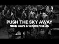 Nick Cave and Warren Ellis - "Push the Sky Away" | Live at Sydney Opera House