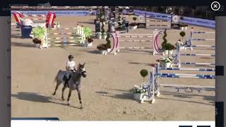 CABALGARO Z / GCT MONACO / BIG CLASS 155