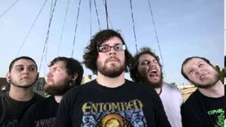 The Black Dahlia Murder - To You, Contorionist